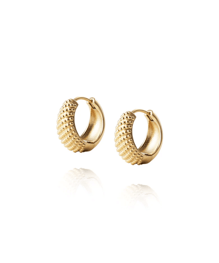 Mockberg Honey Hoops Gold Medium